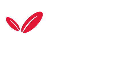 Artella Kapı